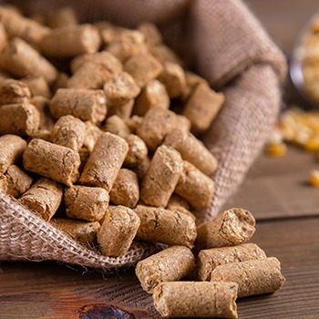 Interstarch. CORN GLUTEN FEED GRANULATED